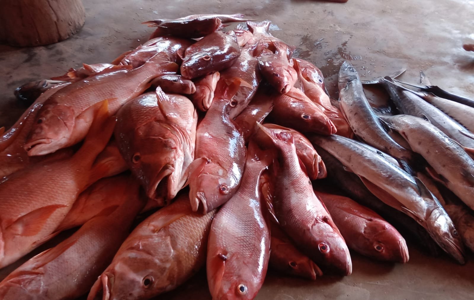 Peixes